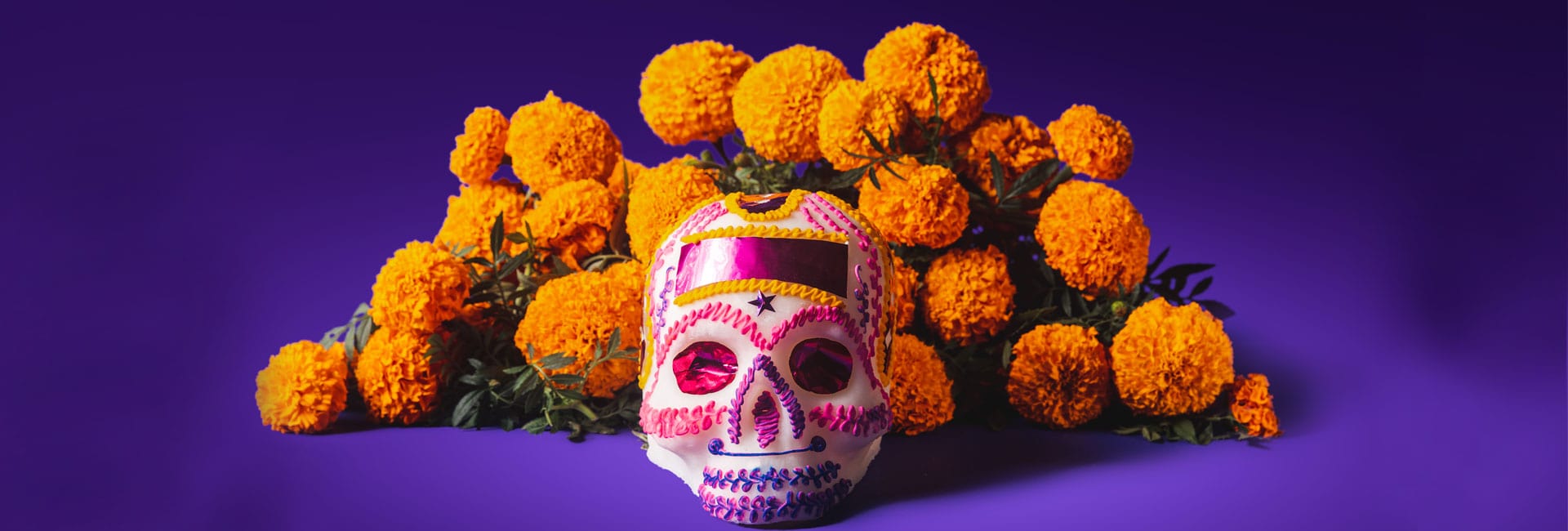 Meaning of the Marigold Flower on the Day of the Dead Blog