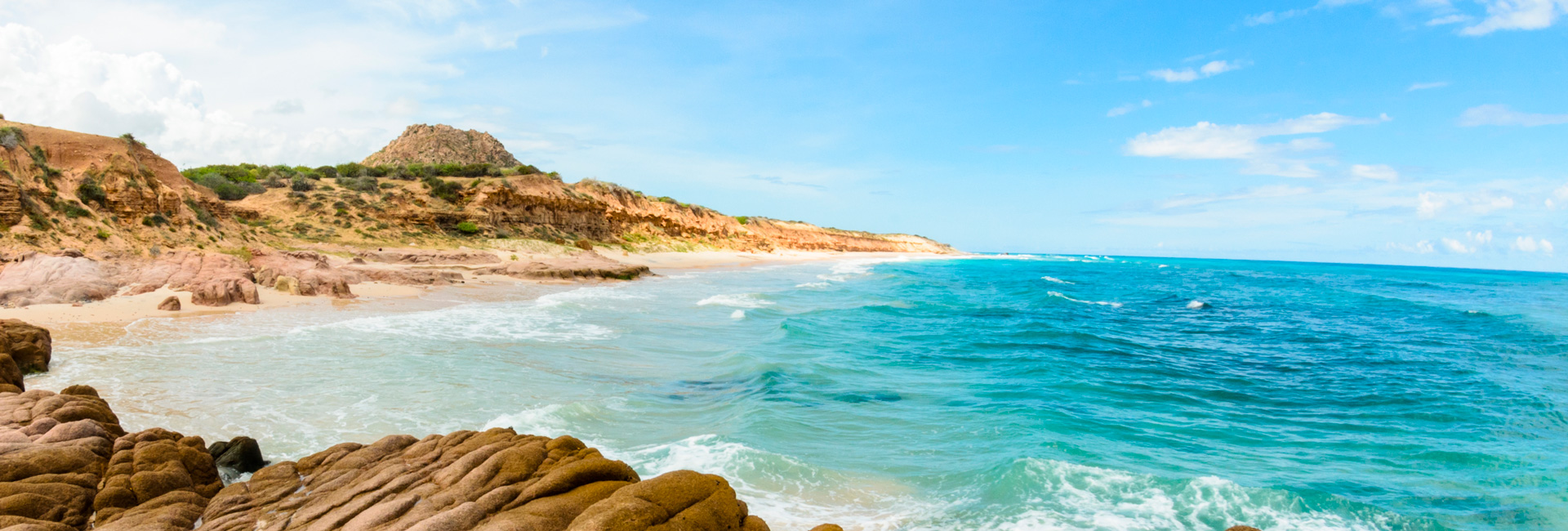 How to Get to Cabo Pulmo National Park from Los Cabos?