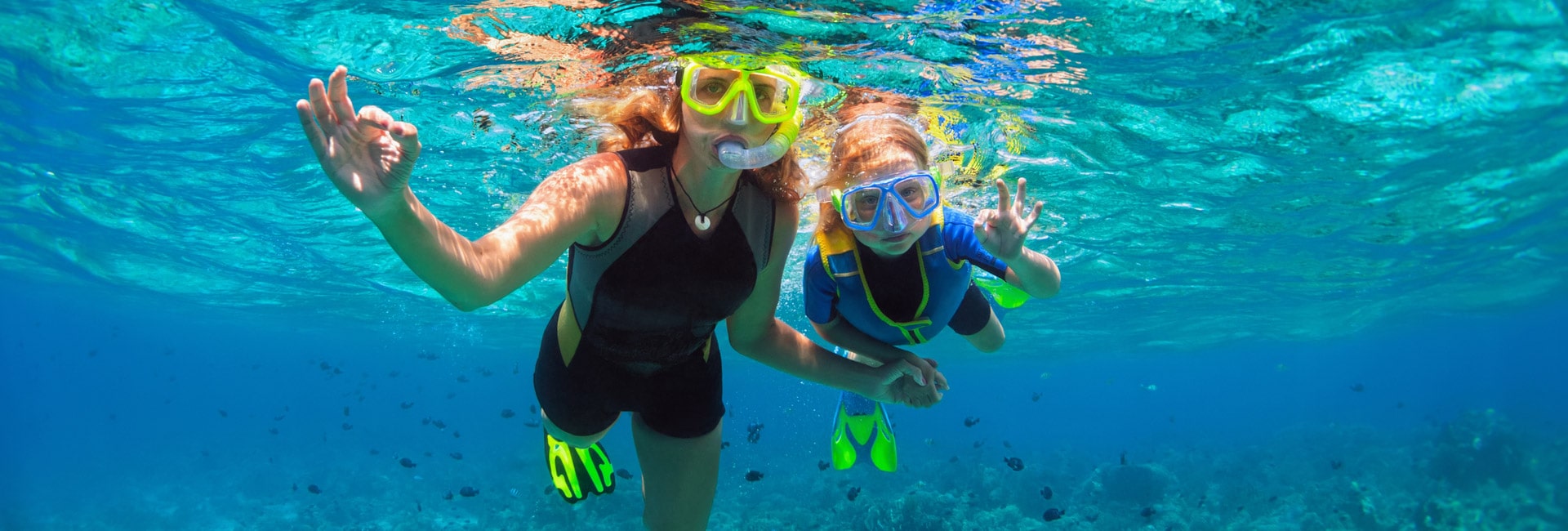 Puerto Vallarta Snorkeling Where to go? The Best Places