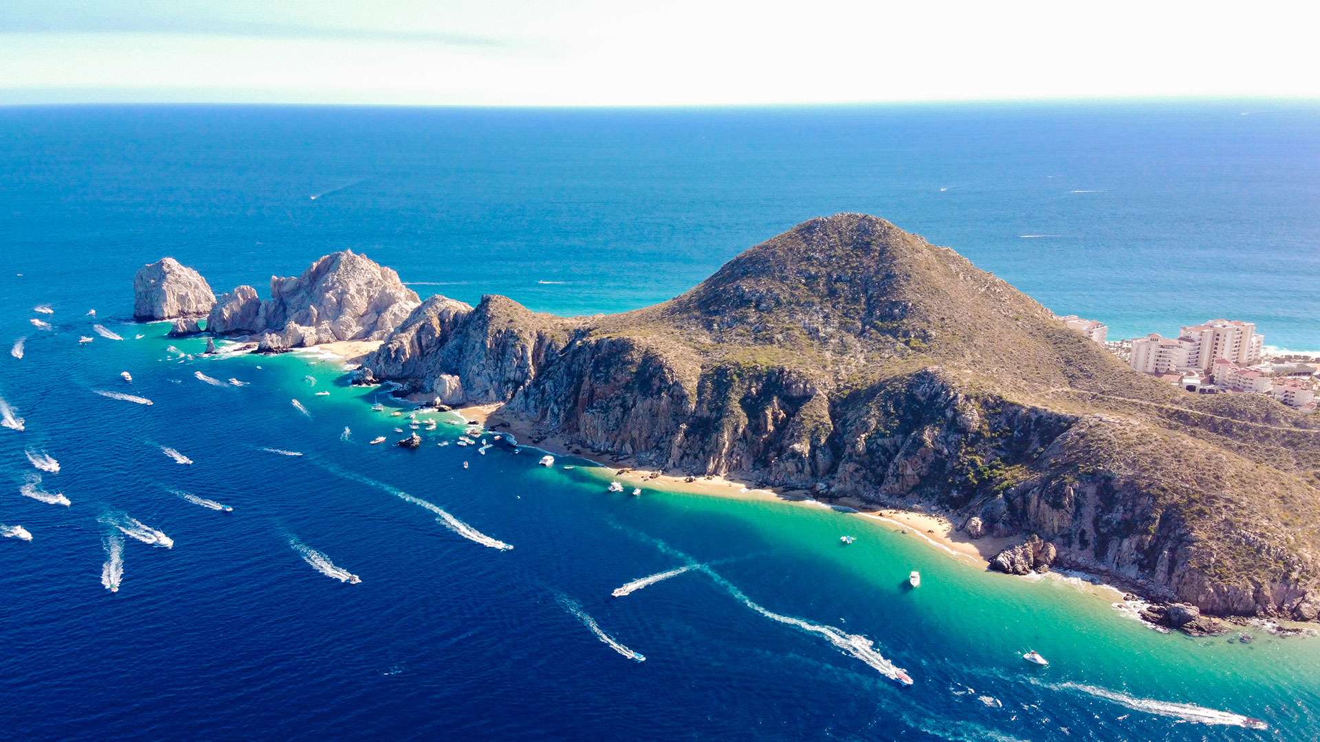Category News Cabo San Lucas Blog