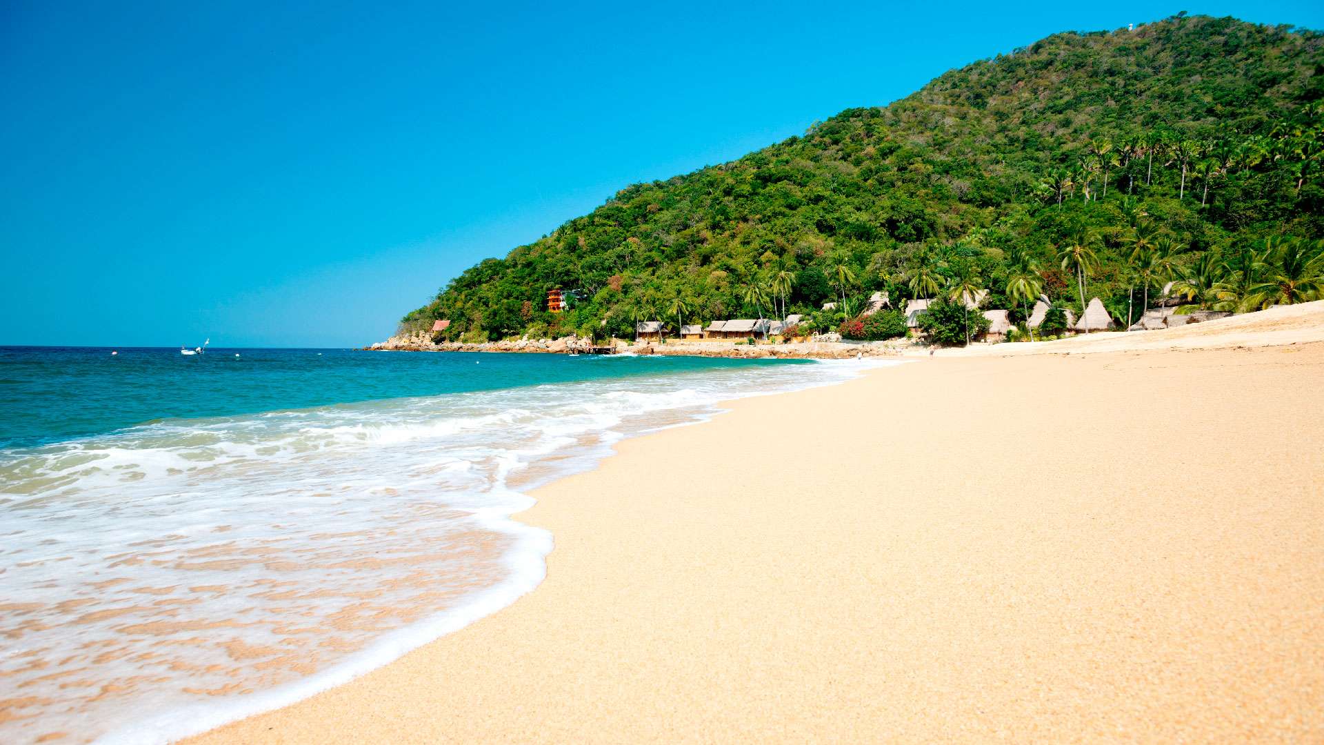 Optimizada puerto vallarta